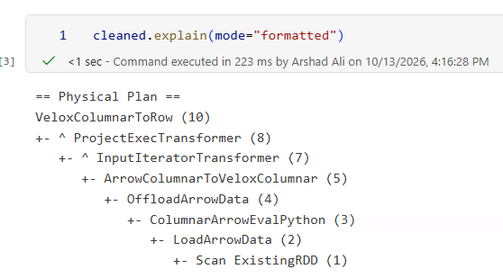 Fabric notebook physical plan showing ColumnarArrowEvalPython, ArrowColumnarToVeloxColumnar, ProjectExecTransformer, and VeloxColumnarToRow